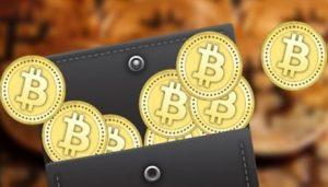 richest bitcoin wallets
